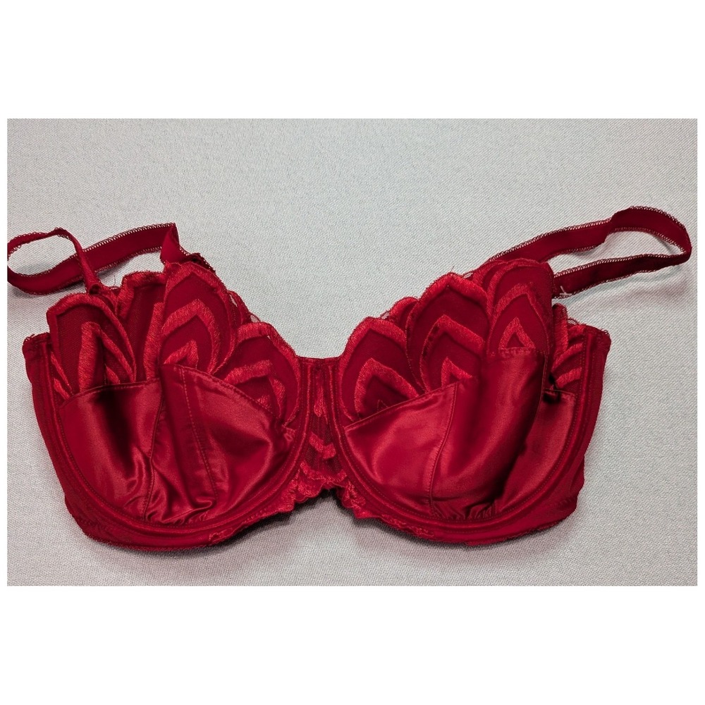 Modern Movement Underwire Bra Womens 36D Red Excellent Embroidered Petal Lace